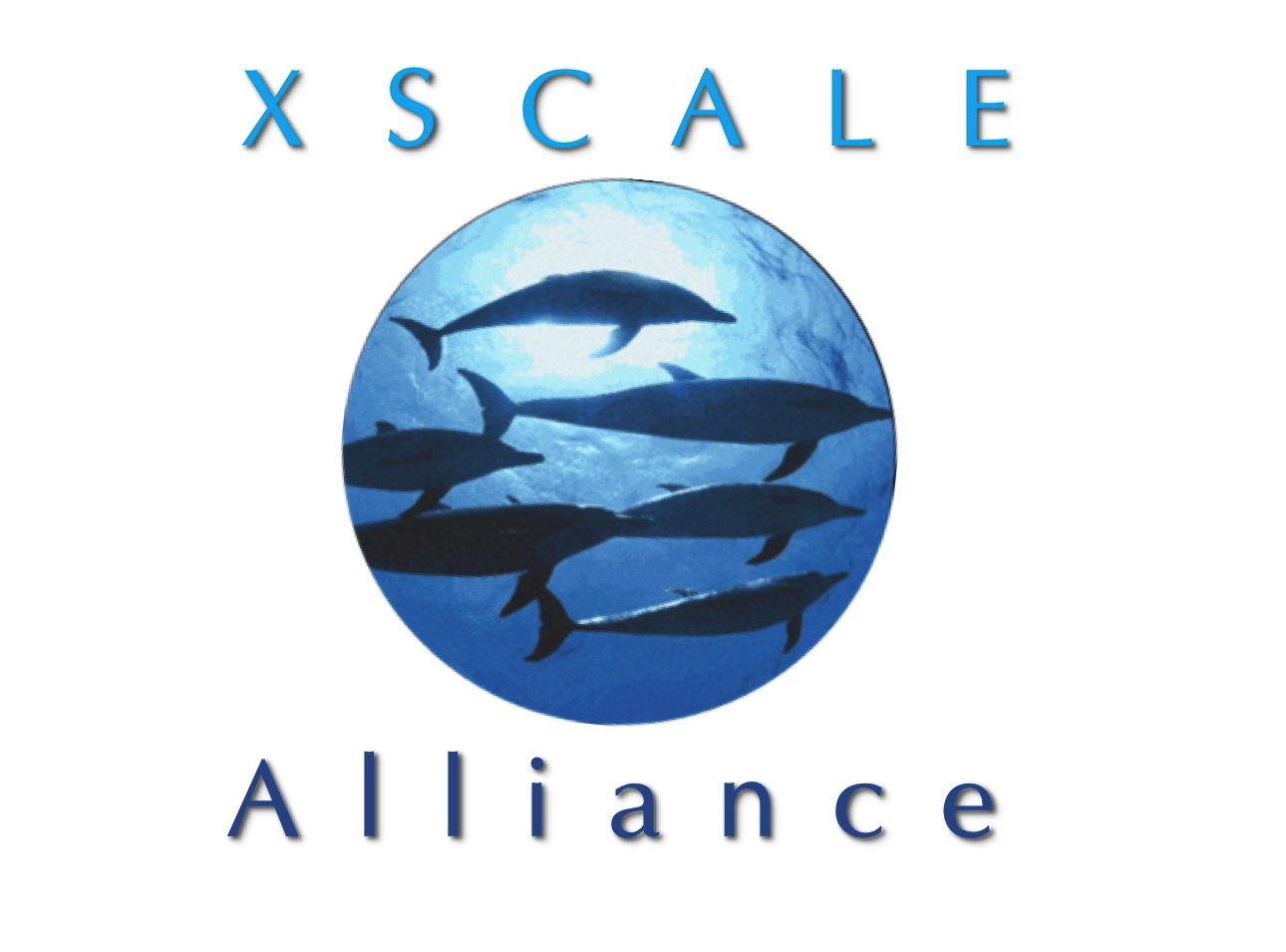 XSCALE Alliance training by Berlin Product People GmbH